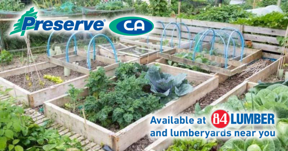 About Raised Vegetable and Garden Beds Treated Wood