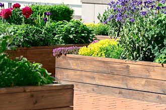 raised garden bed made with treated wood