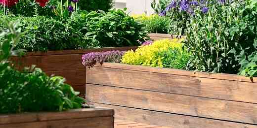 treated or untreated wood for garden bed